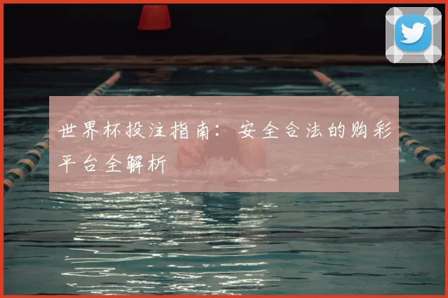 世界杯投注指南：安全合法的购彩平台全解析