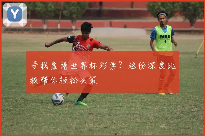 寻找靠谱世界杯彩票？这份深度比较帮你轻松决策