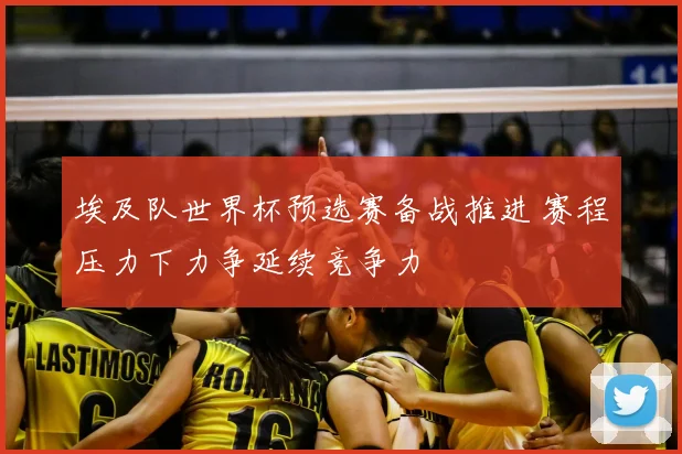 埃及队世界杯预选赛备战推进 赛程压力下力争延续竞争力