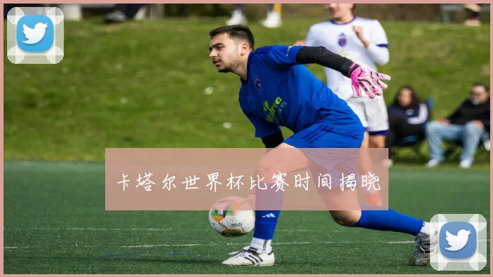 卡塔尔世界杯比赛时间揭晓