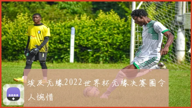 埃及无缘2022世界杯无缘决赛圈令人惋惜