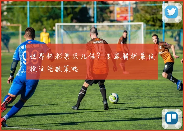 世界杯彩票买几倍?专家解析最佳投注倍数策略