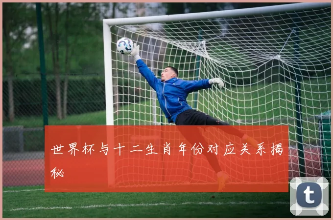 世界杯与十二生肖年份对应关系揭秘
